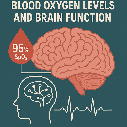 Blood Oxygen Levels and Brain Function